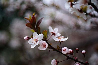 外媒评2024年上半年最糟糕的游戏 《鬼屋魔影：重制版》等